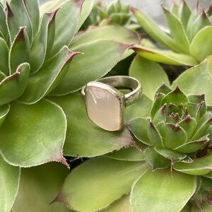 Rose Quartz in Sterling Silver Ring, size 10.25